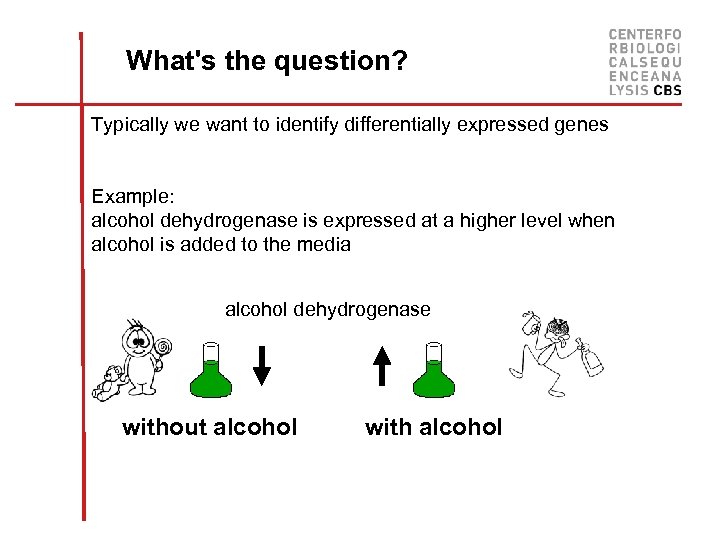 What's the question? Typically we want to identify differentially expressed genes Example: alcohol dehydrogenase