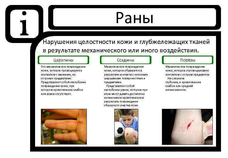 i Раны Нарушения целостности кожи и глубжележащих тканей в результате механического или иного воздействия.