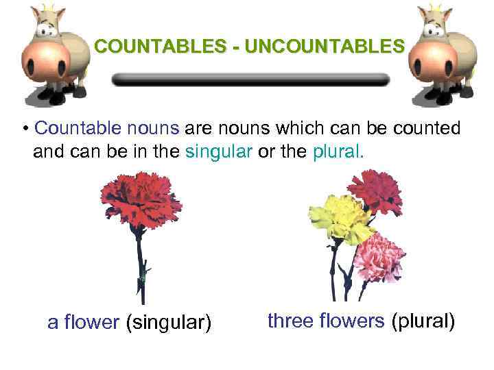 COUNTABLES - UNCOUNTABLES • Countable nouns are nouns which can be counted and can