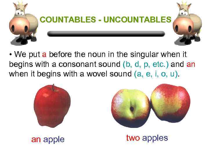 COUNTABLES - UNCOUNTABLES • We put a before the noun in the singular when