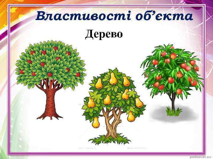 Властивості об’єкта Дерево 