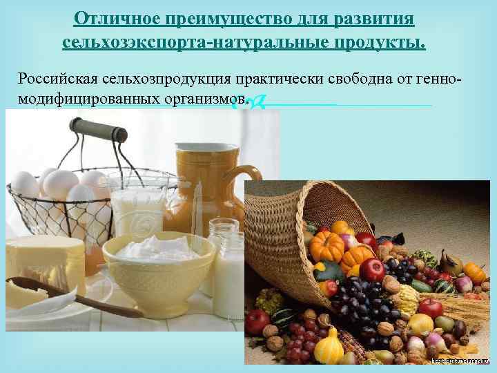 Отличное преимущество для развития сельхозэкспорта-натуральные продукты. Российская сельхозпродукция практически свободна от генномодифицированных организмов. 