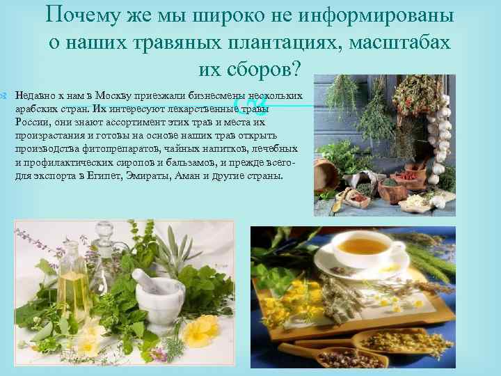 Почему же мы широко не информированы о наших травяных плантациях, масштабах их сборов? Недавно