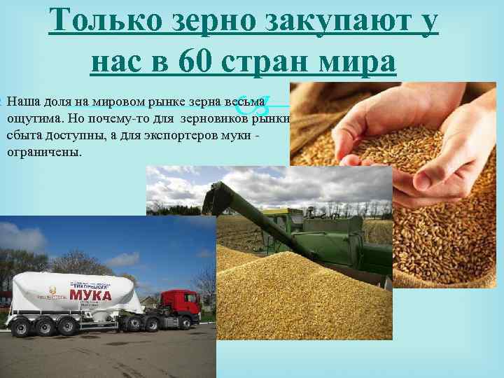 Только зерно закупают у нас в 60 стран мира Наша доля на мировом рынке