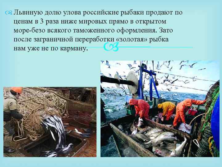  Львиную долю улова российские рыбаки продают по ценам в 3 раза ниже мировых