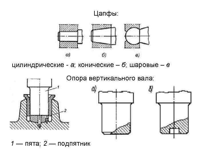 Цапфы: цилиндрические - а; конические – б; шаровые – в Опора вертикального вала: 1