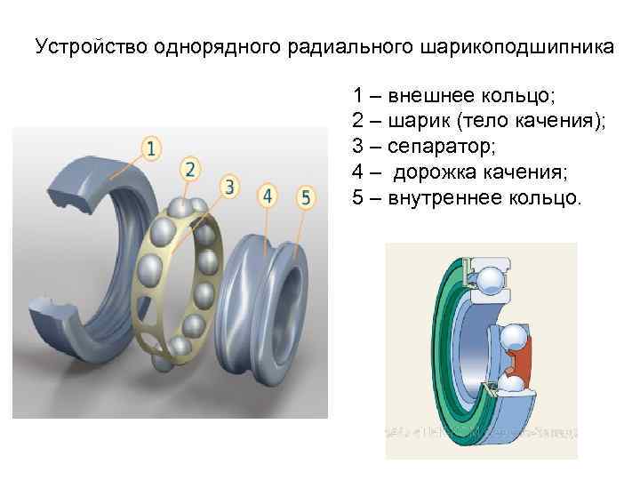 Устройство однорядного радиального шарикоподшипника 1 – внешнее кольцо; 2 – шарик (тело качения); 3