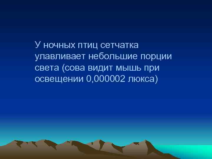 У ночных птиц сетчатка улавливает небольшие порции света (сова видит мышь при освещении 0,