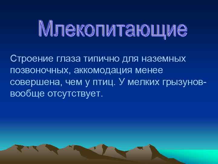 Строение глаза типично для наземных позвоночных, аккомодация менее совершена, чем у птиц. У мелких