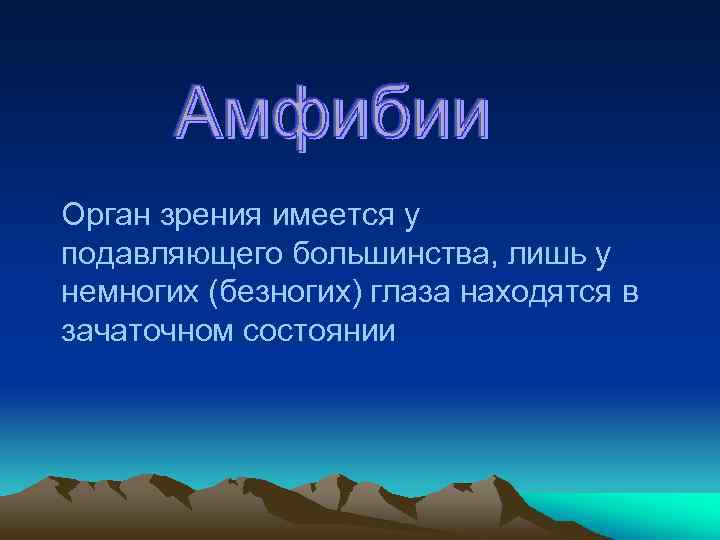 Орган зрения имеется у подавляющего большинства, лишь у немногих (безногих) глаза находятся в зачаточном