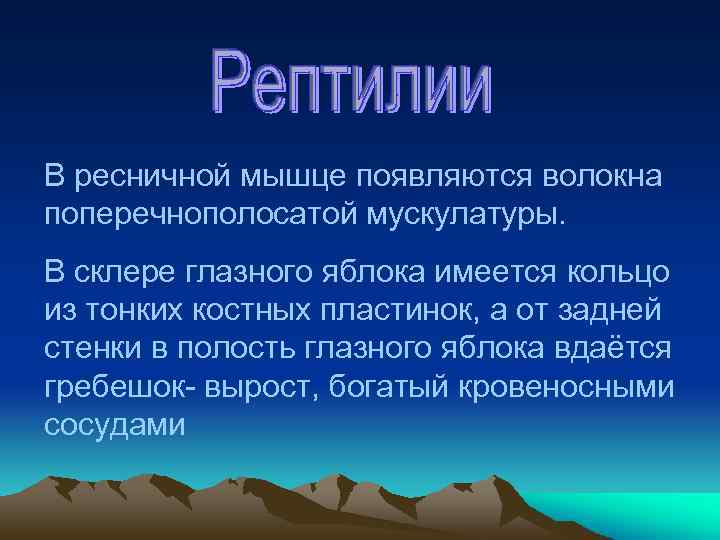 В ресничной мышце появляются волокна поперечнополосатой мускулатуры. В склере глазного яблока имеется кольцо из