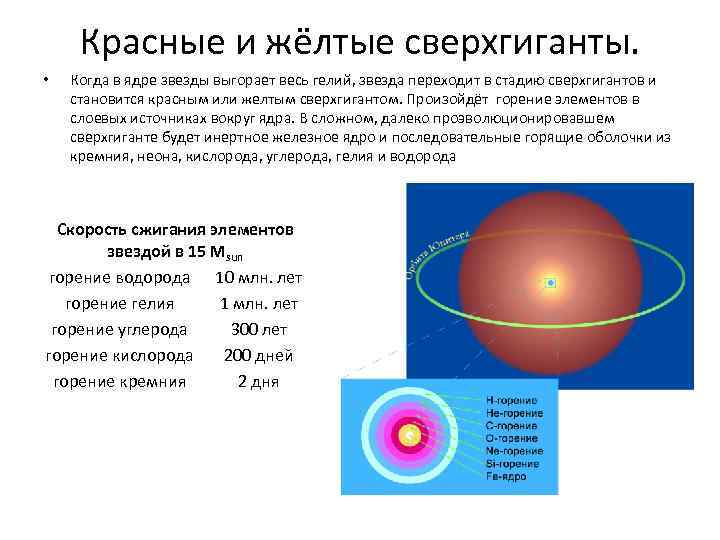 Отметьте на диаграмме области где расположены красные гиганты белые карлики сверхгиганты