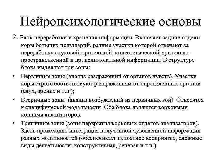 Нейропсихологические основы 2. Блок переработки и хранения информации. Включает задние отделы коры больших полушарий,