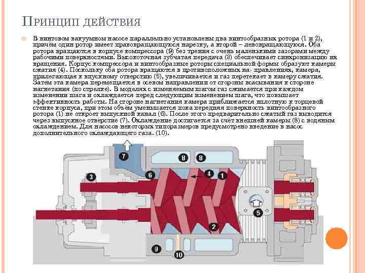 ПРИНЦИП ДЕЙСТВИЯ В винтовом вакуумном насосе параллельно установлены два винтообразных ротора (1 и 2),