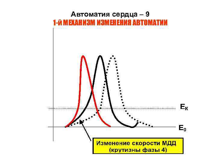 Автоматия сердца – 9 1 -й МЕХАНИЗМ ИЗМЕНЕНИЯ АВТОМАТИИ 