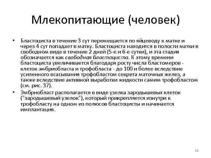 Млекопитающие (человек) • Бластоциста в течение 3 сут перемещается по яйцеводу к матке и