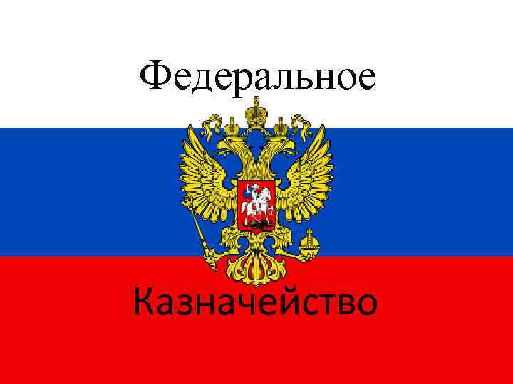 Федеральное Казначейство 