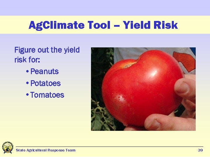 Ag. Climate Tool – Yield Risk Figure out the yield risk for: • Peanuts