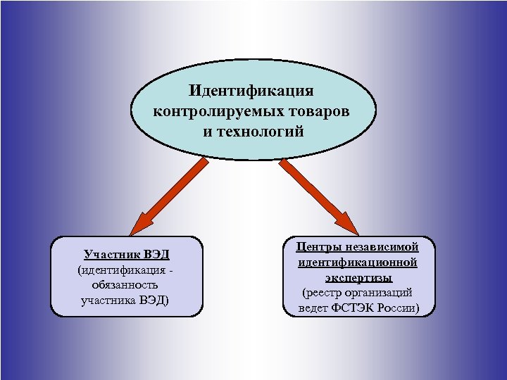 Идентификационное заключение фстэк образец