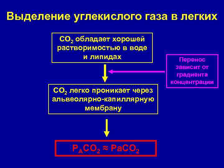 Выделение углекислого газа в легких СО 2 обладает хорошей растворимостью в воде и липидах