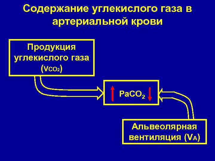 Содержание углекислого газа в артериальной крови Продукция углекислого газа (VCO 2) Ра. СО 2