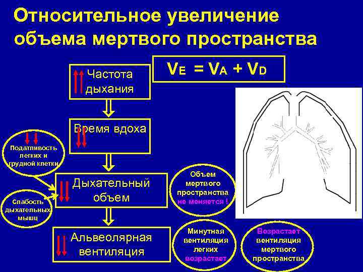 Относительное увеличение объема мертвого пространства Частота дыхания VE = VA + VD VE Время