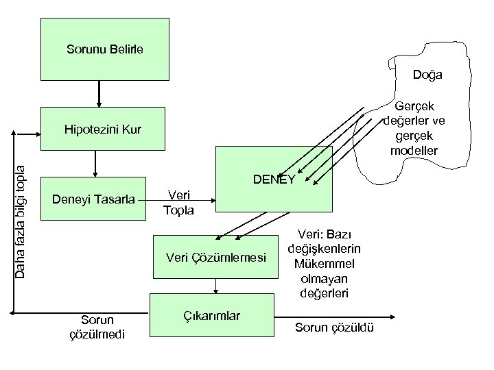 Sorunu Belirle Doğa Gerçek değerler ve gerçek modeller Daha fazla bilgi topla Hipotezini Kur