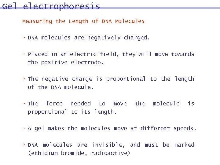 Gel electrophoresis Measuring the Length of DNA Molecules 8 DNA molecules are negatively charged.