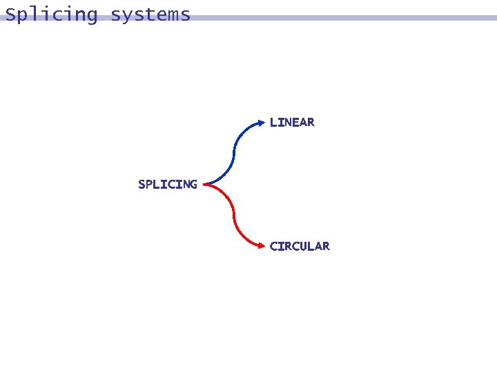 Splicing systems LINEAR SPLICING CIRCULAR 