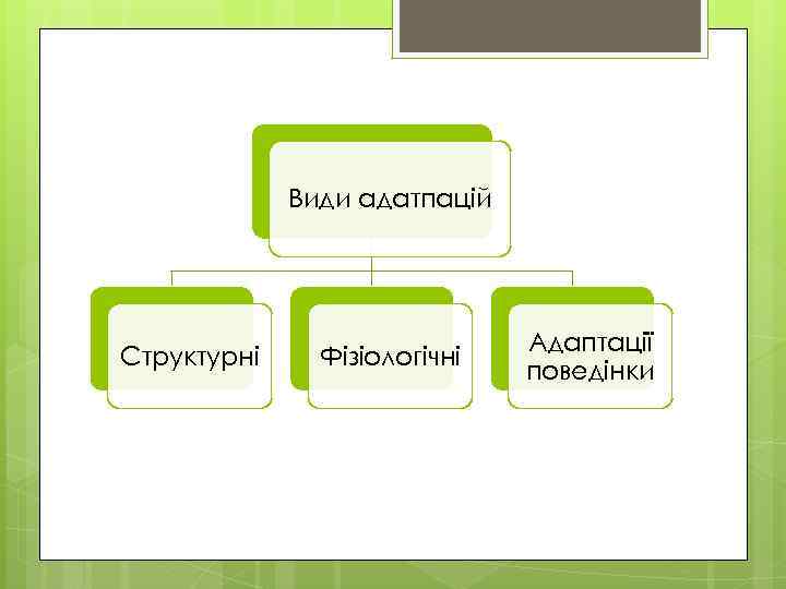 Види адатпацій Структурні Фізіологічні Адаптації поведінки 