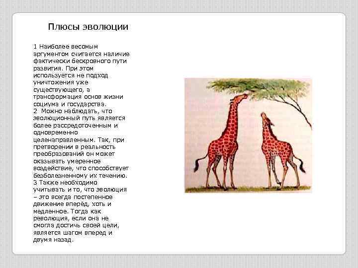Плюсы эволюции 1 Наиболее весомым аргументом считается наличие фактически бескровного пути развития. При этом