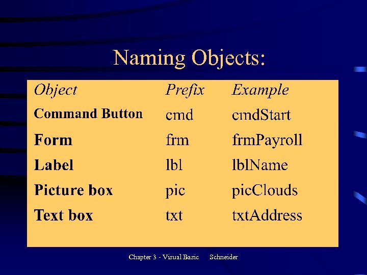 Naming Objects: Chapter 3 - Visual Basic Schneider 