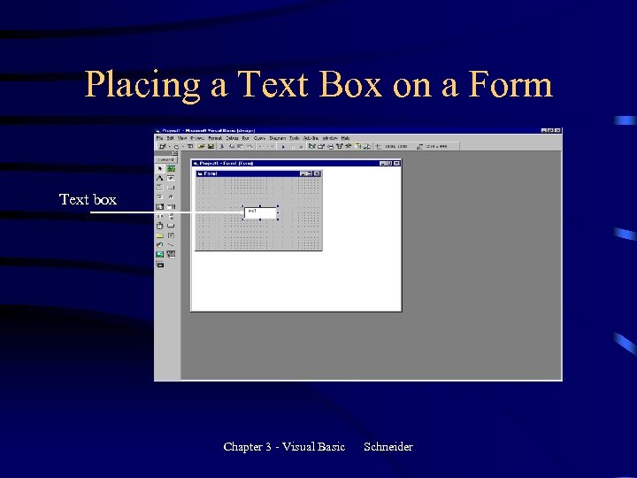 Placing a Text Box on a Form Text box Chapter 3 - Visual Basic