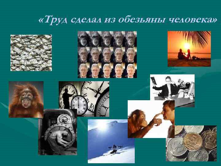  «Труд сделал из обезьяны человека» 