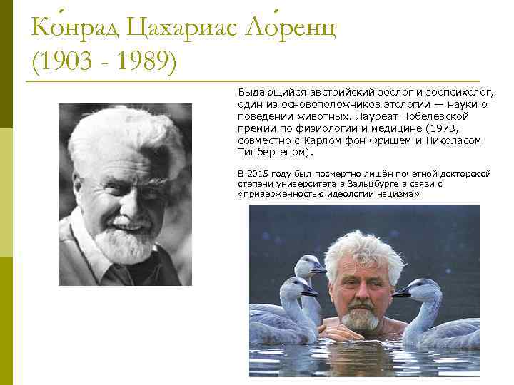 Ко нрад Цахариас Ло ренц (1903 - 1989) Выдающийся австрийский зоолог и зоопсихолог, один