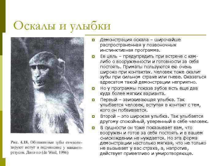 Оскалы и улыбки p p p Демонстрация оскала – широчайше распространенная у позвоночных инстинктивная