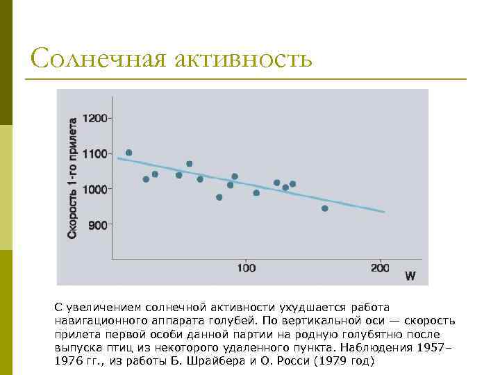 Солнечная активность С увеличением солнечной активности ухудшается работа навигационного аппарата голубей. По вертикальной оси
