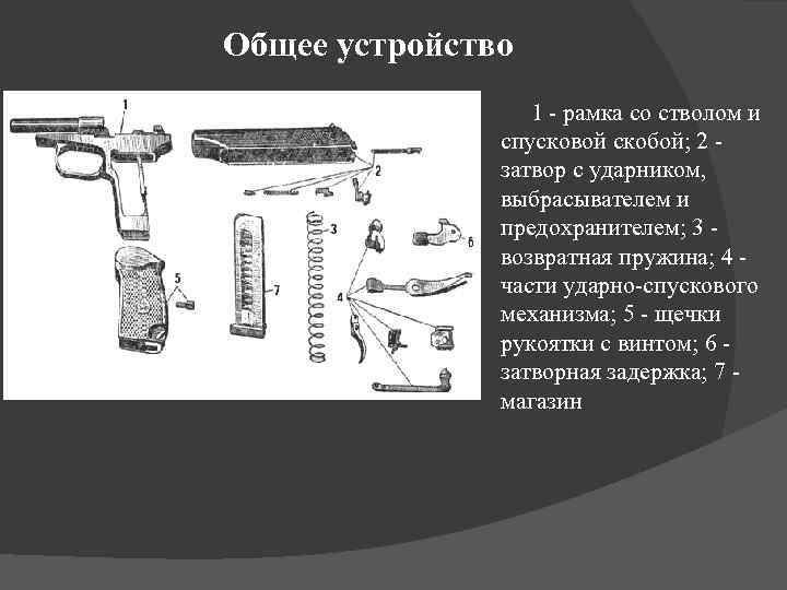 Общее устройство 1 - рамка со стволом и спусковой скобой; 2 затвор с ударником,