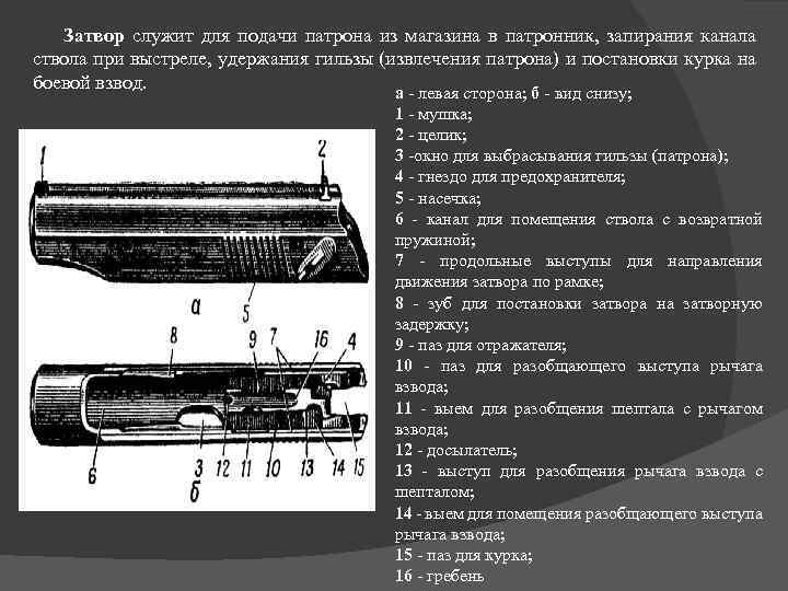 Затвор служит для подачи патрона из магазина в патронник, запирания канала ствола при выстреле,