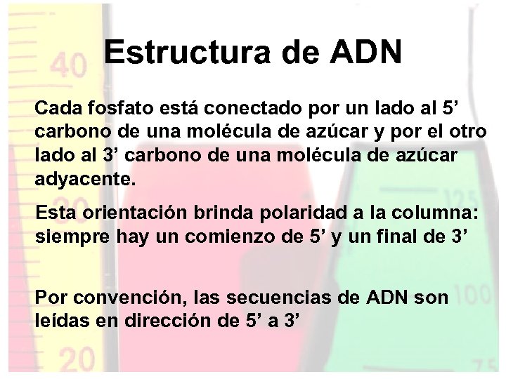 Estructura de ADN Cada fosfato está conectado por un lado al 5’ carbono de