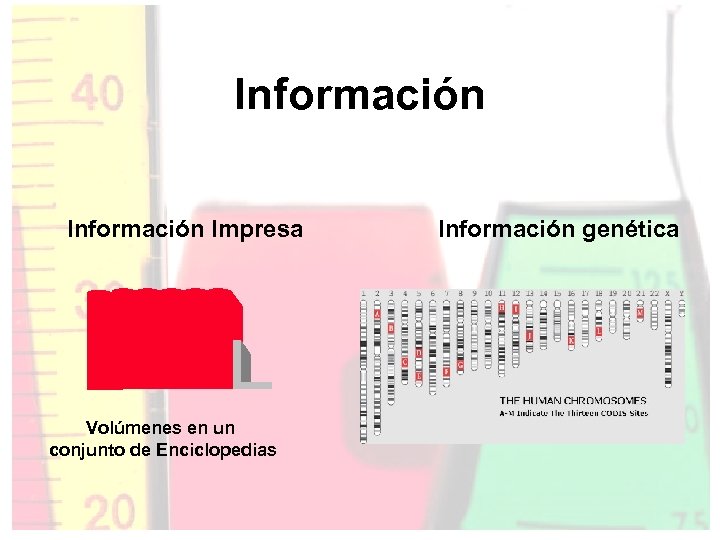 Información Impresa Volúmenes en un conjunto de Enciclopedias Información genética 