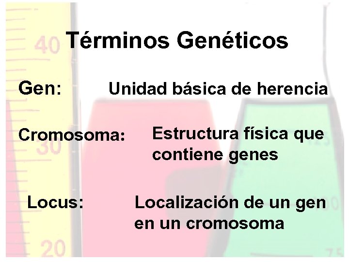 Términos Genéticos Gen: Unidad básica de herencia Cromosoma: Locus: Estructura física que contiene genes