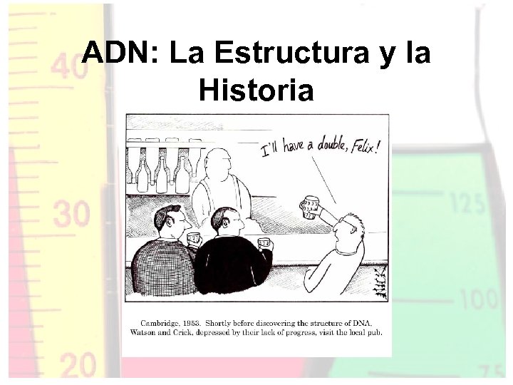 ADN: La Estructura y la Historia 