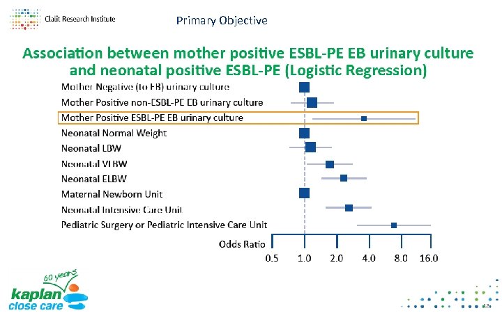 Primary Objective 12 