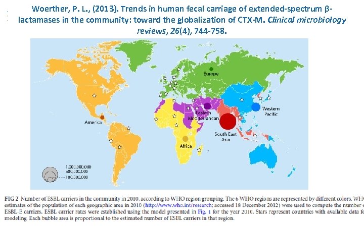 Woerther, P. L. , (2013). Trends in human fecal carriage of extended-spectrum βlactamases in
