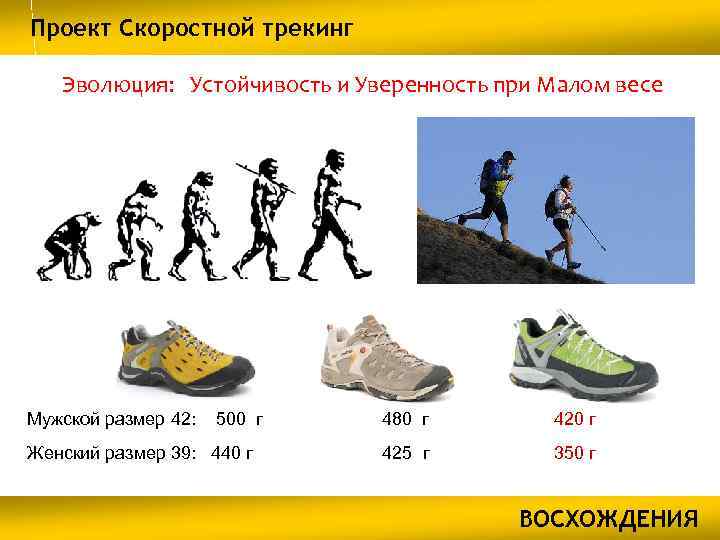 Проект Скоростной трекинг Эволюция: Устойчивость и Уверенность при Малом весе Мужской размер 42: 500