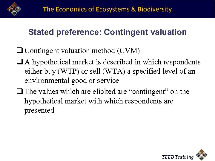 Stated preference: Contingent valuation q Contingent valuation method (CVM) q A hypothetical market is