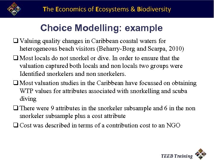 Choice Modelling: example q Valuing quality changes in Caribbean coastal waters for heterogeneous beach