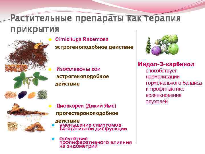 Растительные препараты как терапия прикрытия = Cimicifuga Racemosa эстрогеноподобное действие = Изофлавоны сои эстрогеноподобное