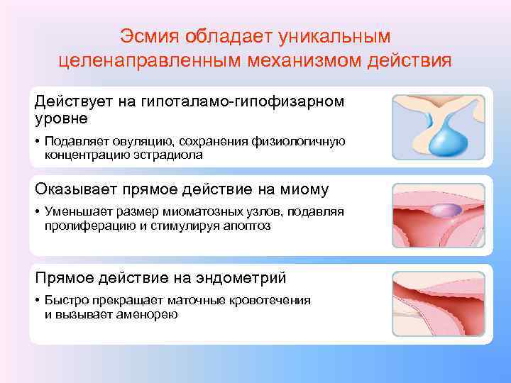 Эсмия обладает уникальным целенаправленным механизмом действия Действует на гипоталамо-гипофизарном уровне • Подавляет овуляцию, сохранения